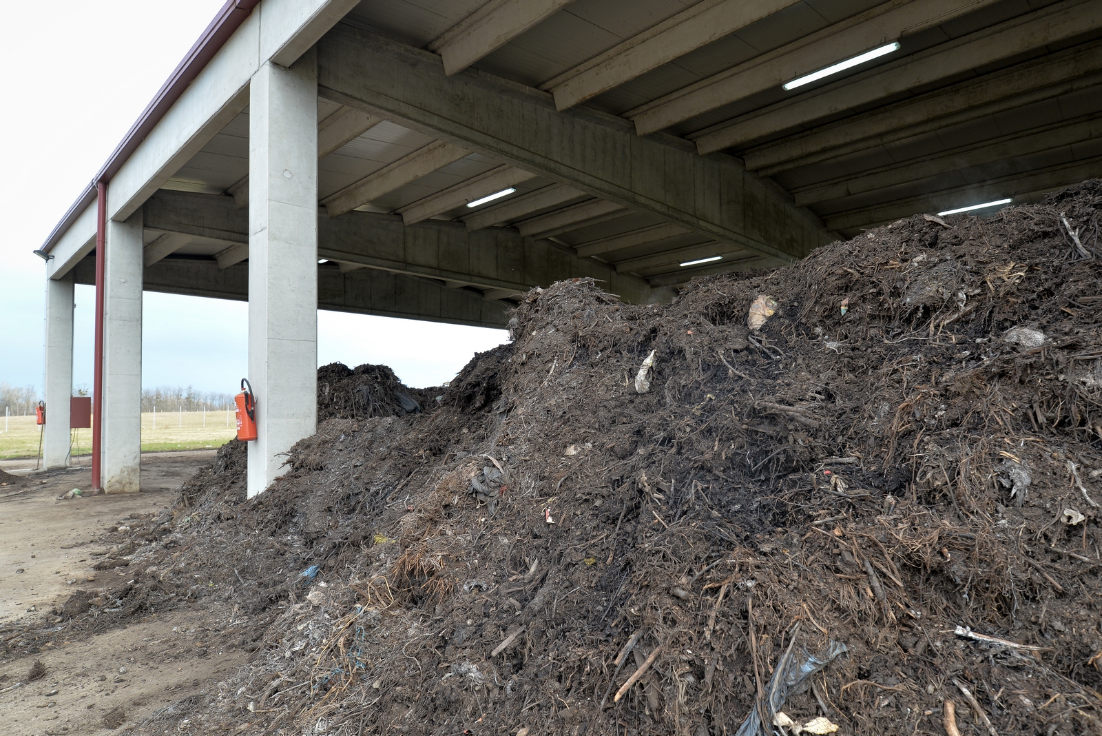 ee336f9d3fce9b55213f9f30c4791c5a.jpg?v=2