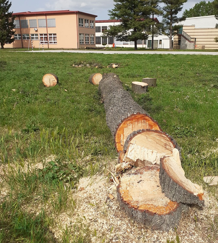 f8392a0225d2e72c183684744c30de99.jpg?v=2