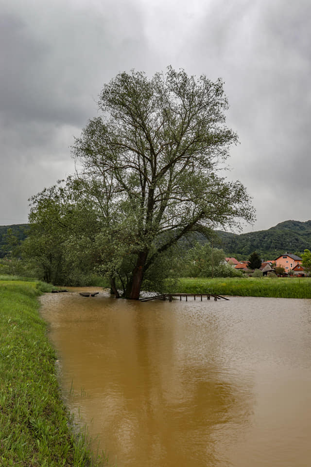 f8f33dec9aea0dfa33f9c0591653b8df.jpg?v=2