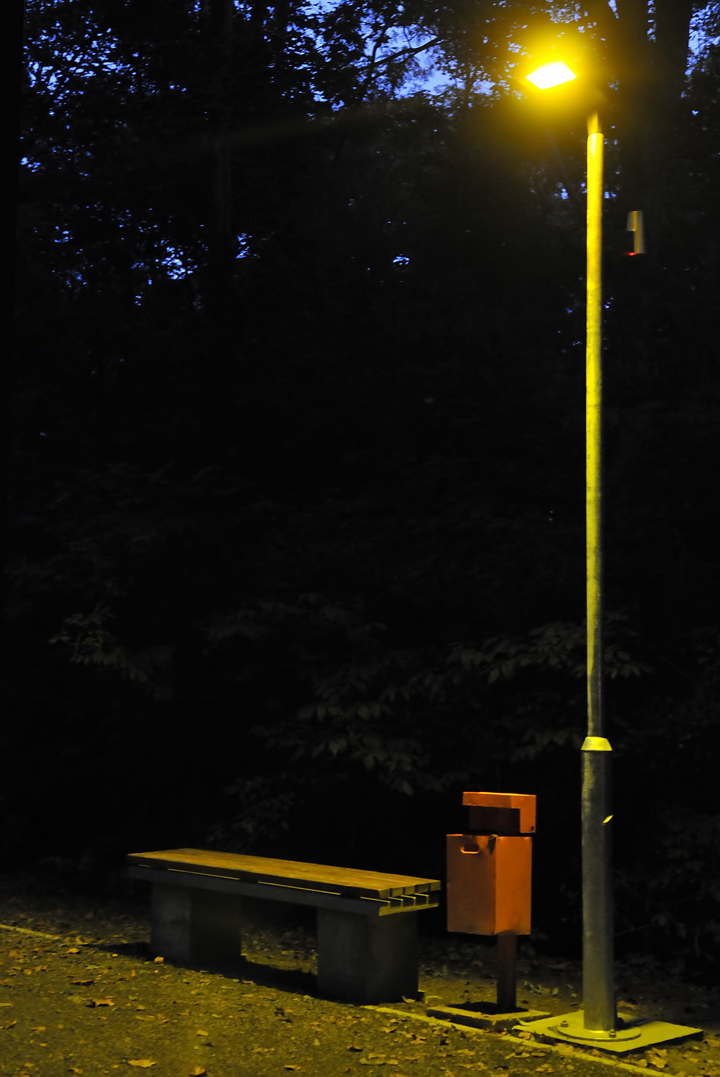 f90af288f0cd2fdc223c2f86d4183689.jpg?v=2