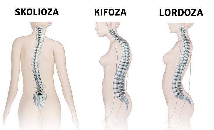 fb0ef3a86fbfe739002db3703f8ae42b.jpg?v=2