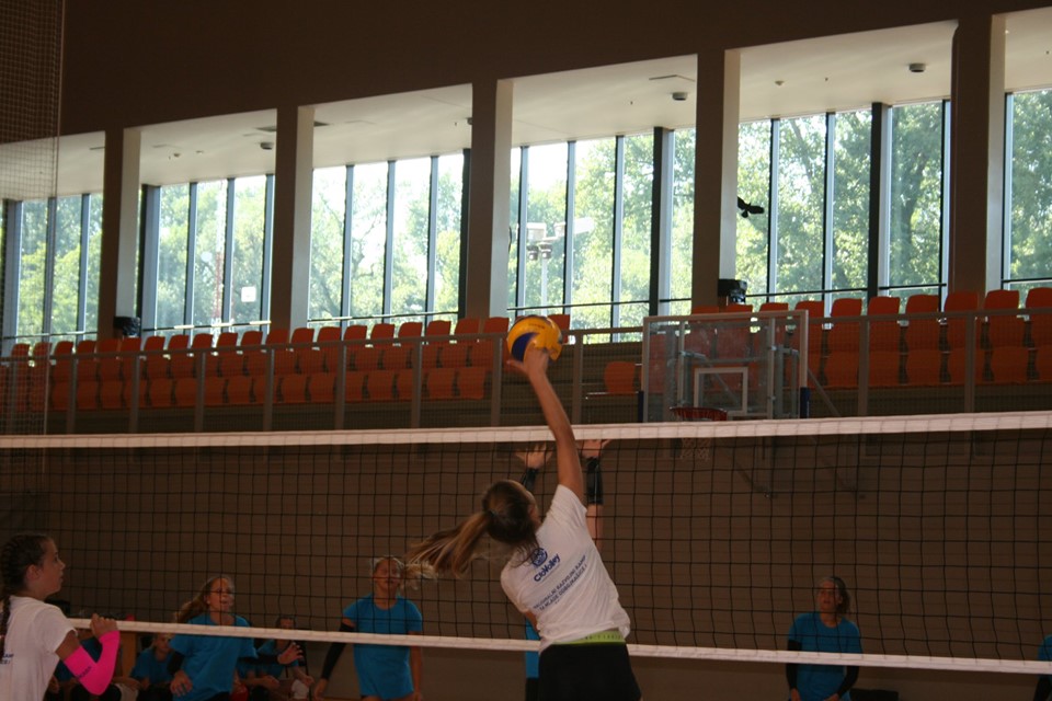 fff6d69322acd92c0390f05c8a5bcb16.jpg?v=2